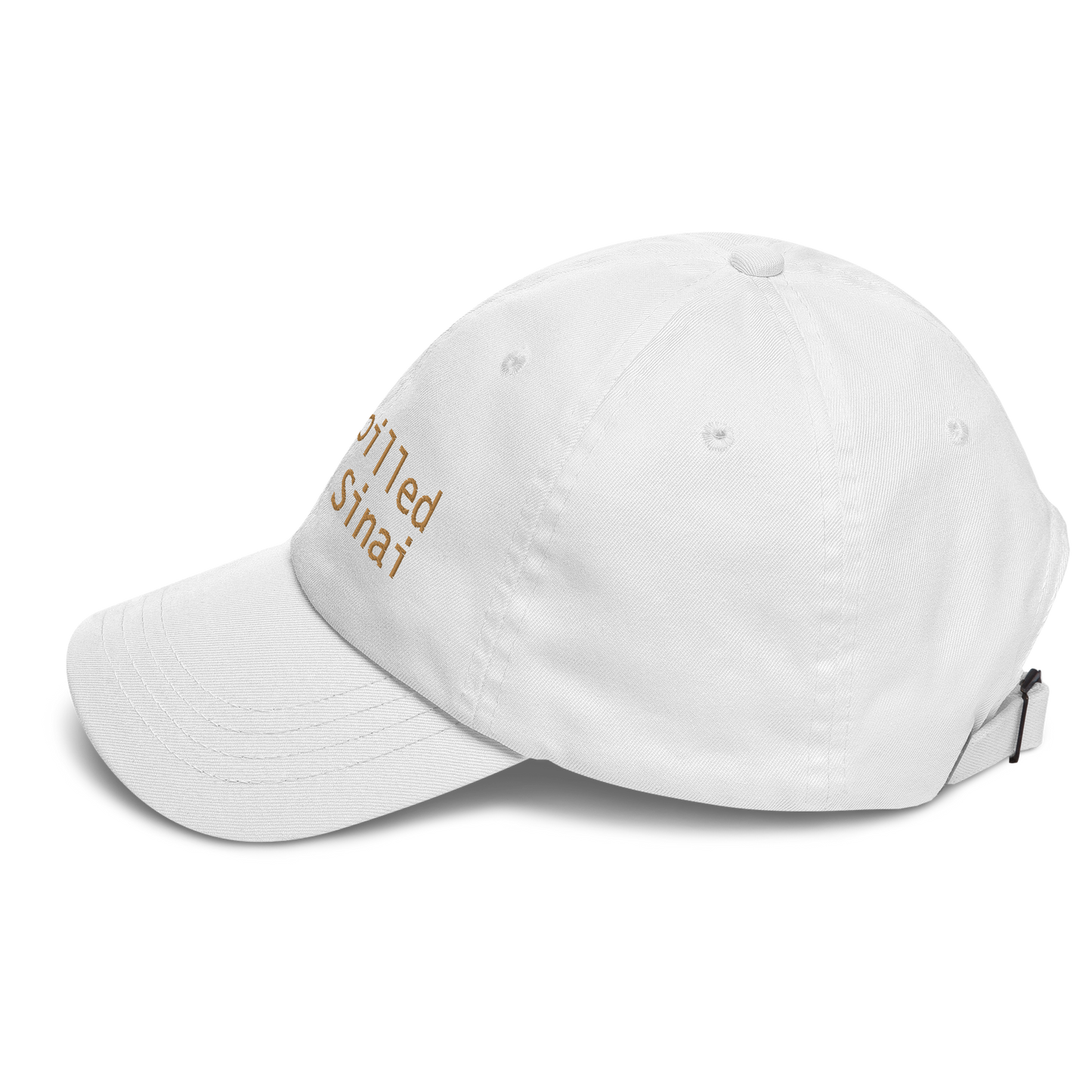 'Whitepilled Since Sinai' hat